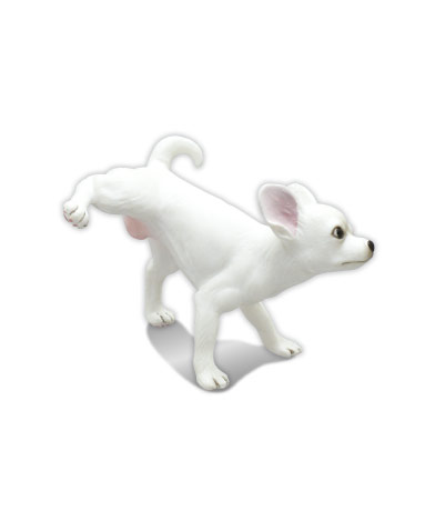 チワワ （ホワイト）