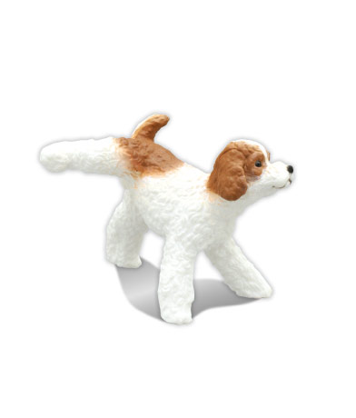 トイプードル （ホワイト＆レッド）