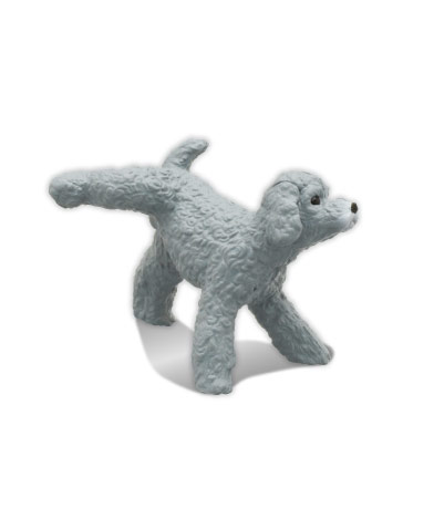 トイプードル （シルバー）